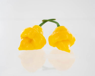 Trinidad Perfume Pepper Seeds - The Pepper Pantry (Formerly Marie Sharp's)